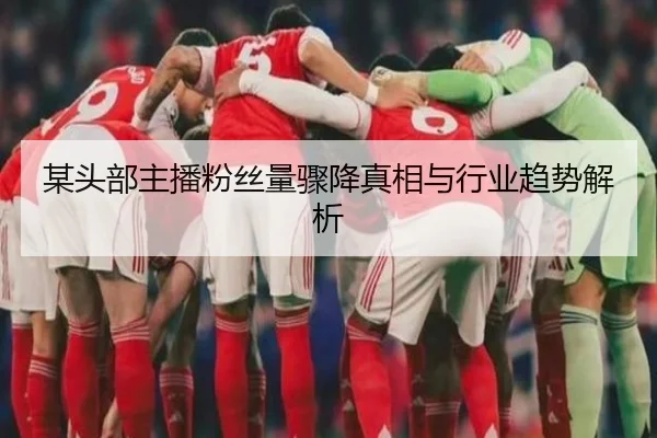 某头部主播粉丝量骤降真相与行业趋势解析